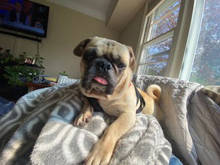 Otis