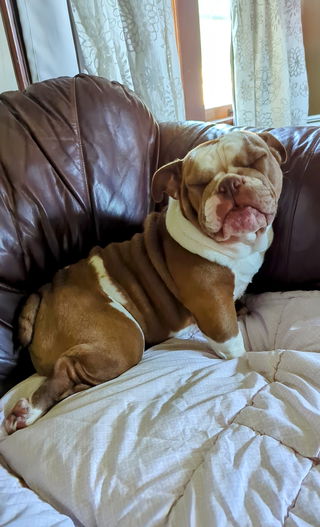 Betty Burrito