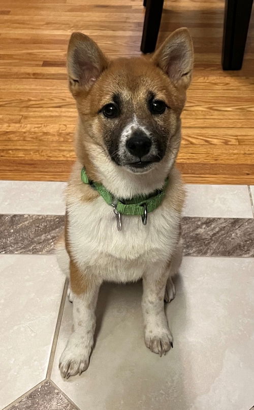 Ranger