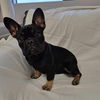 George