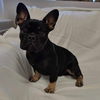 George