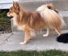 Tabitha