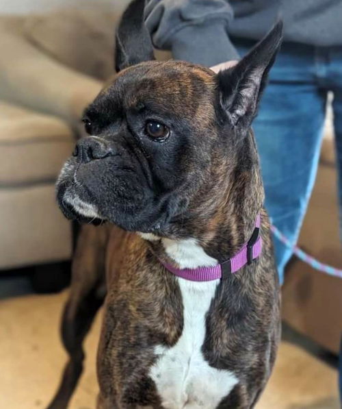 Penelope