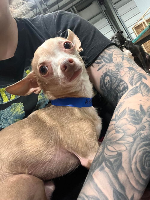 Paco