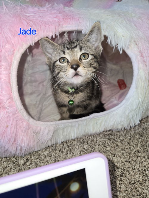 Jade