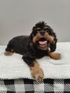 Reese