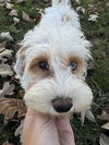 Ethel