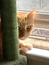 Billy