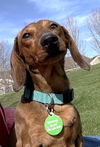Howie