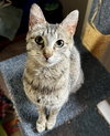 Lucille - Photo 1