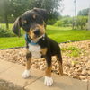Marley
