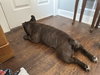 Mousse - Photo 10