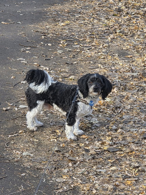 Photo of Jelly Belly