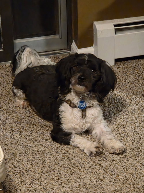 Photo of Jelly Belly