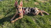 Shaylee - Photo 9