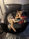 Shaylee - Photo 4