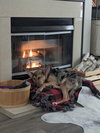 Shaylee - Photo 2