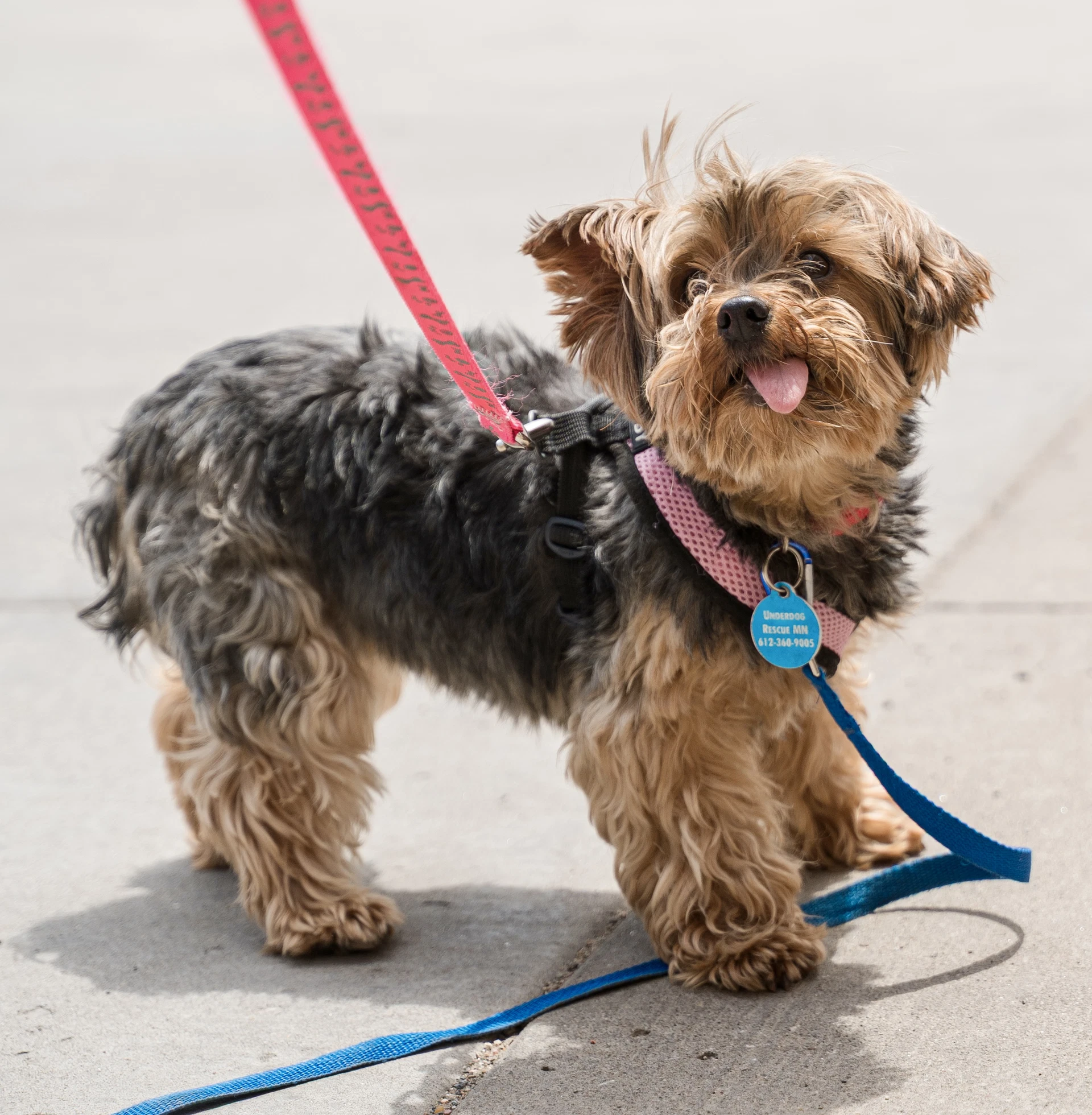 Albany