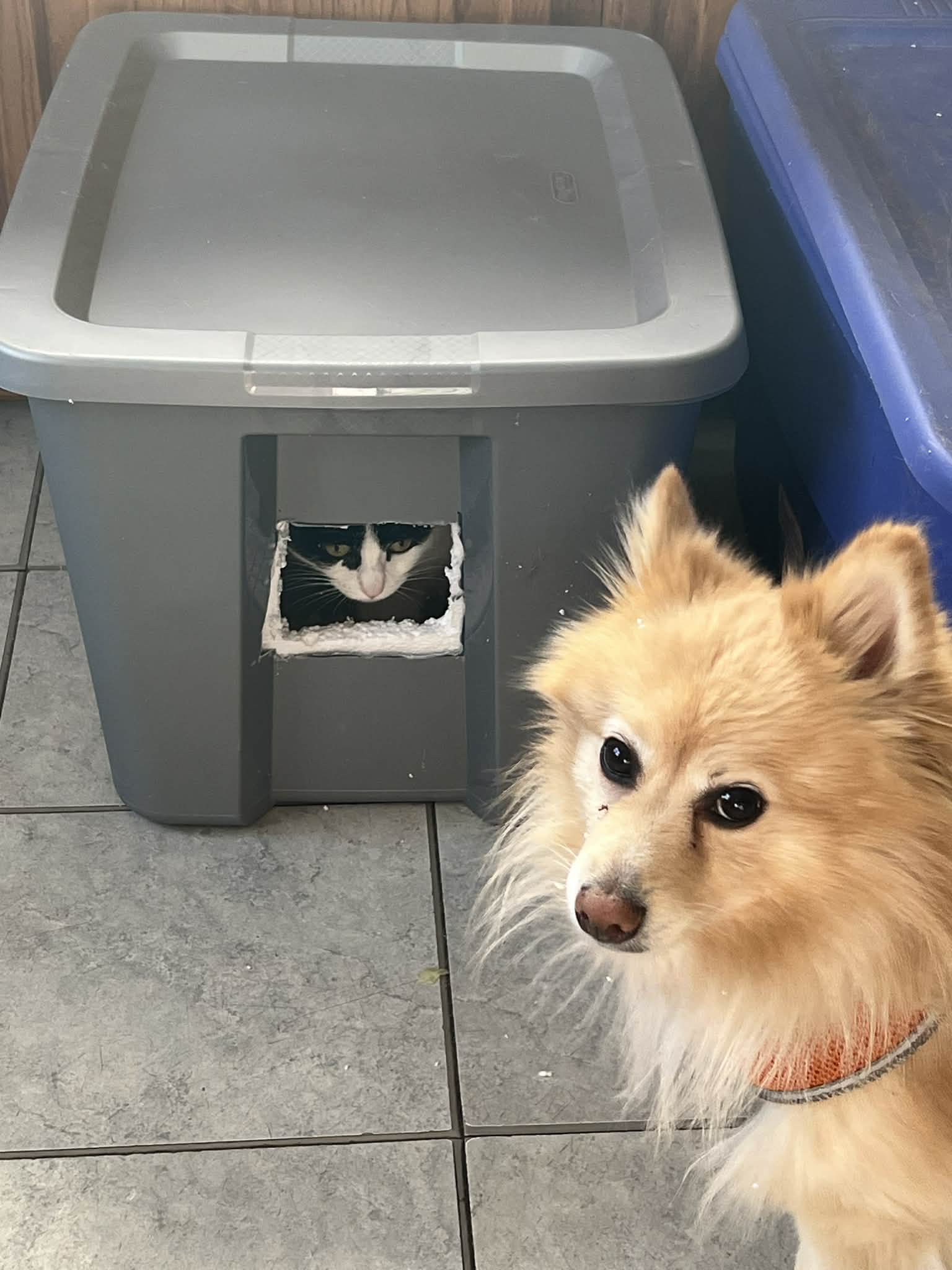 Milo