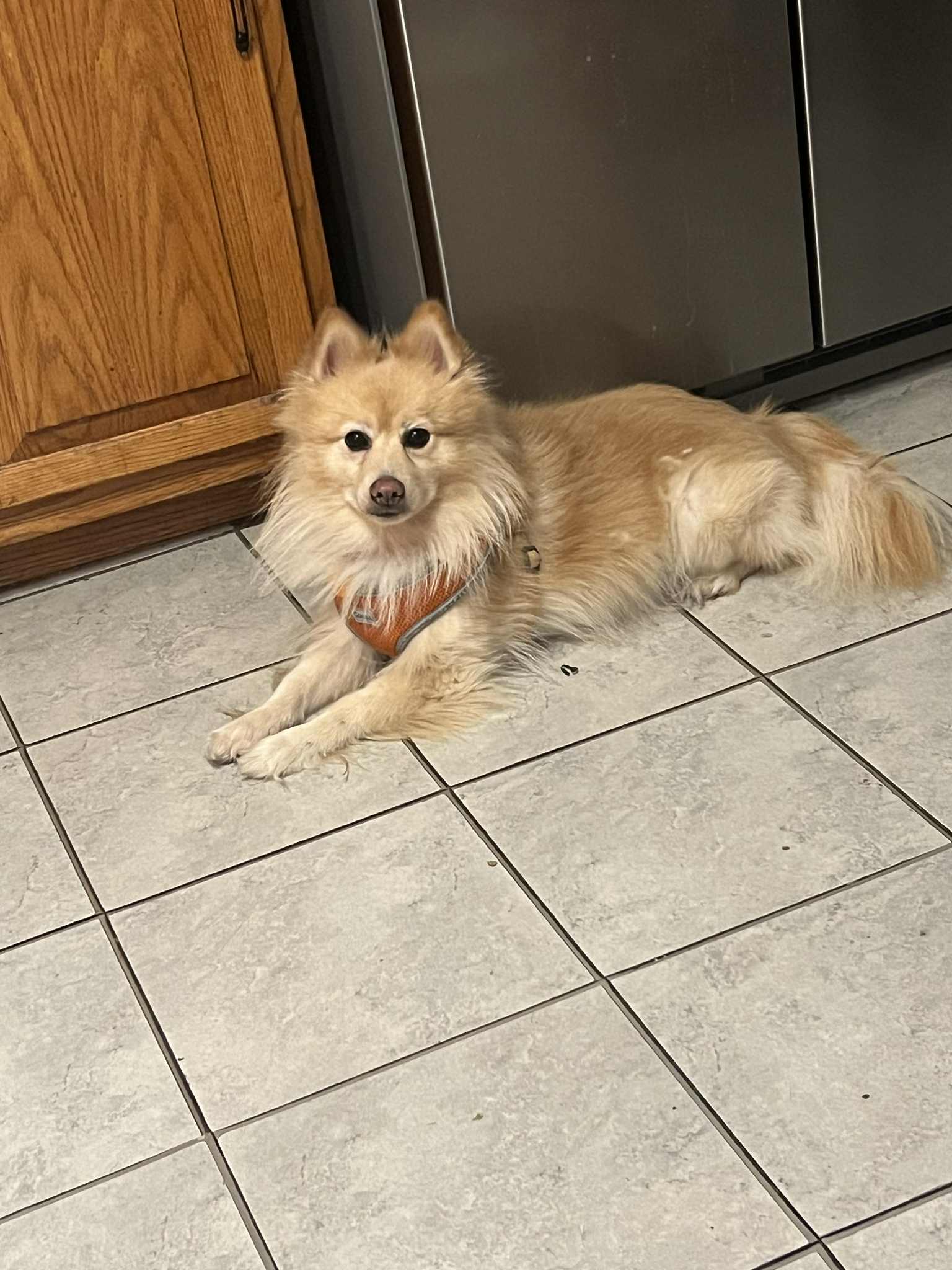 Milo
