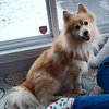 Milo - Photo 4