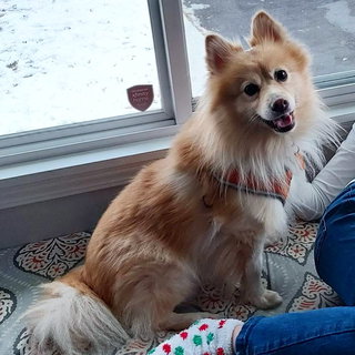 Milo