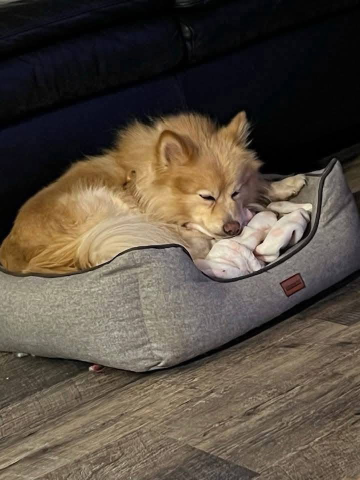 Milo