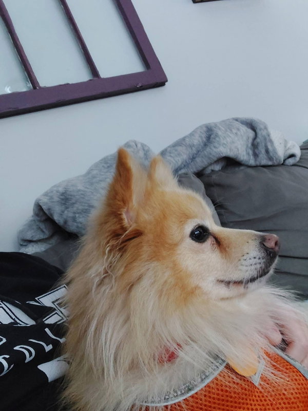 Milo