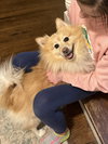 Milo - Photo 2