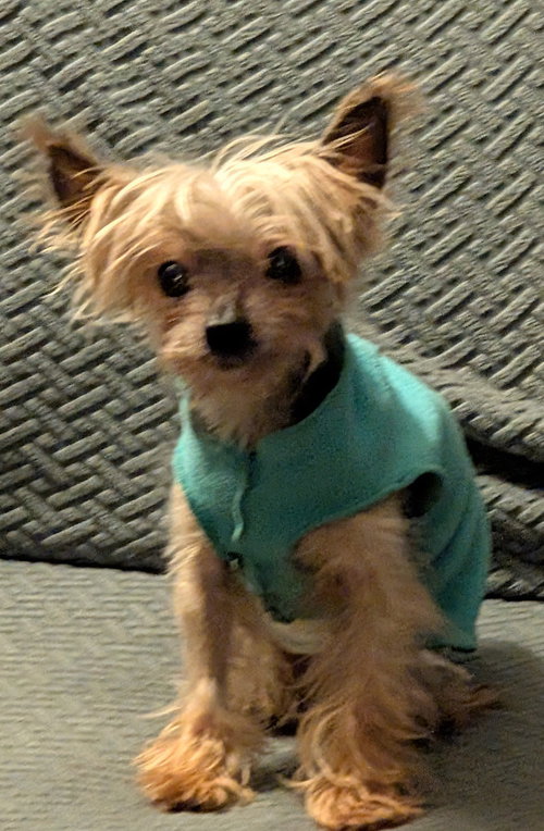 Fritz