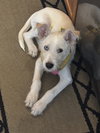 Sammie - Photo 8