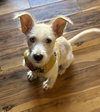 Sammie - Photo 7
