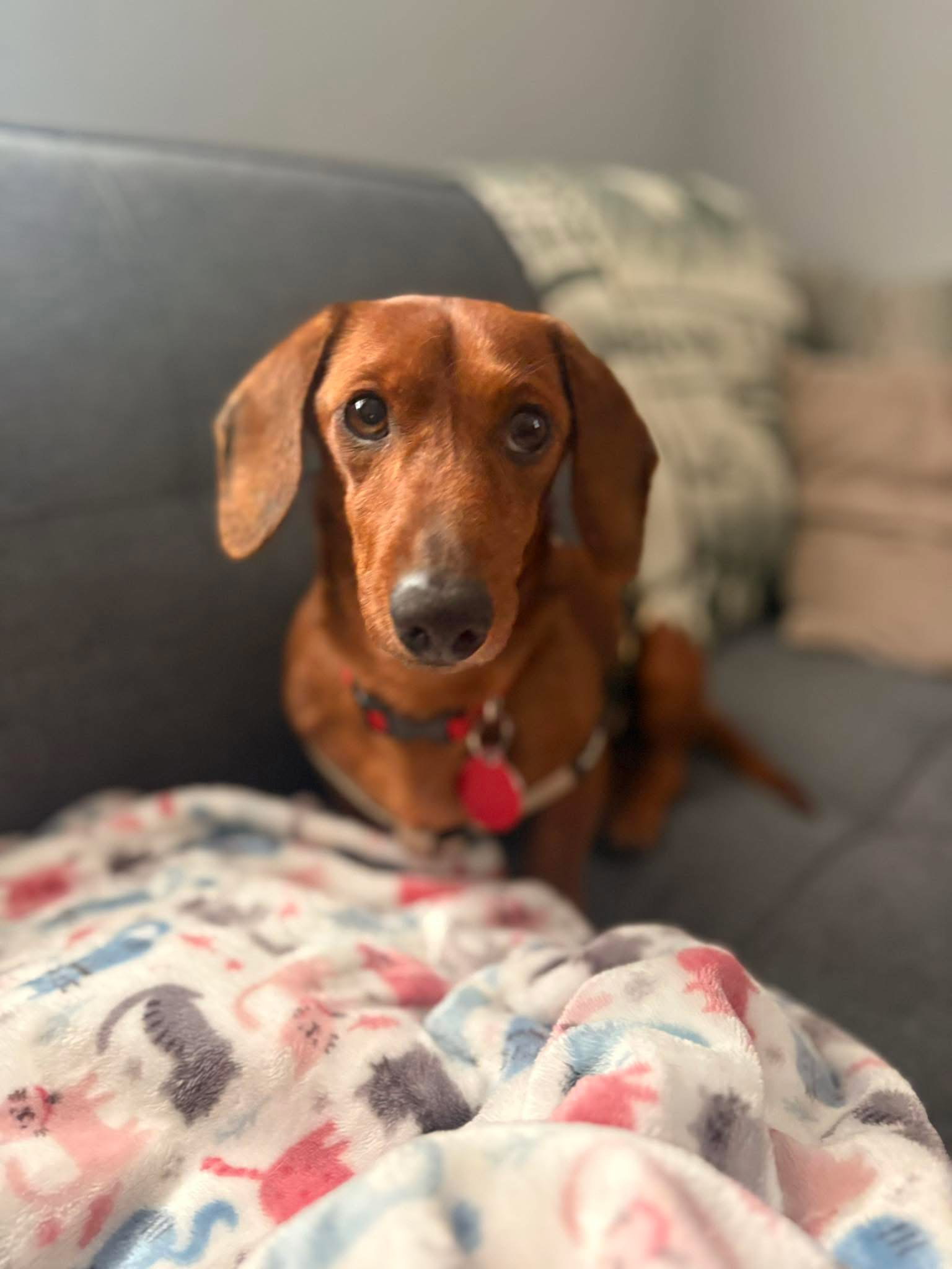Cozy Image