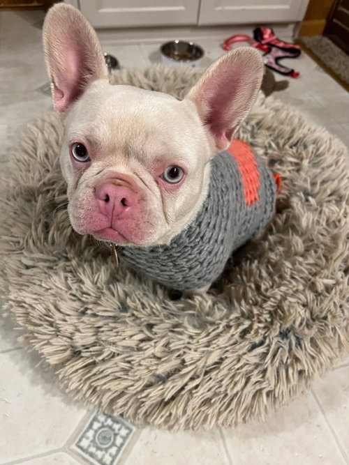 Peppa