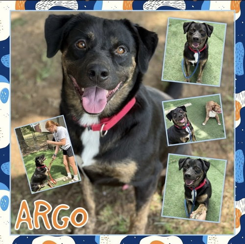 Argo — thumbnail 2