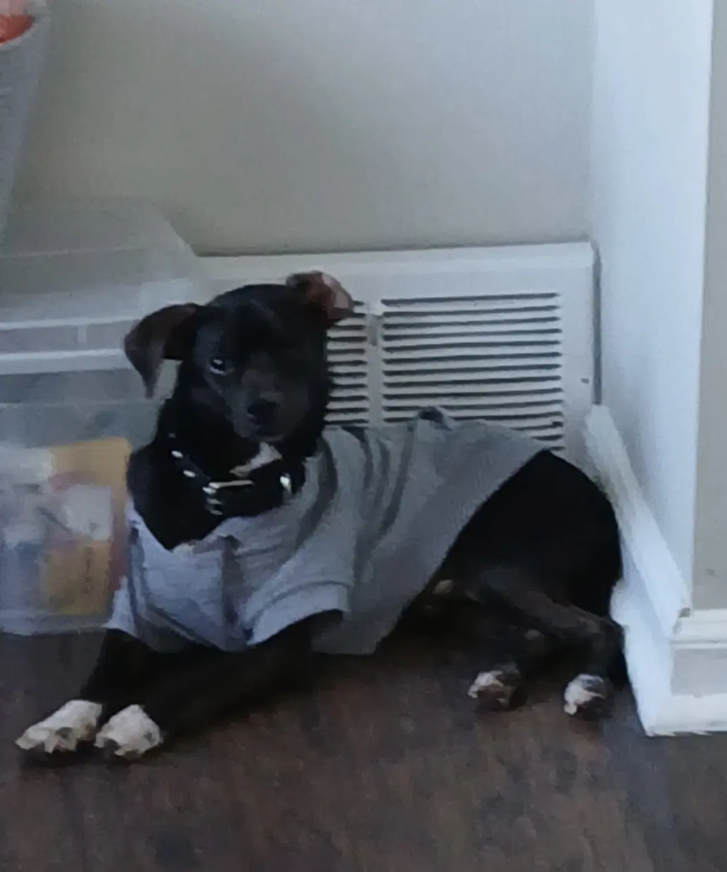 Mack image 4