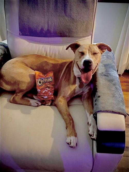 Cheeto Dust photo 2