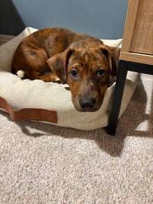 Walter