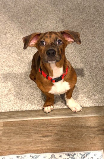 Walter