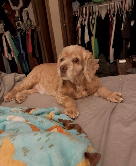 Daisy Duke photo 5