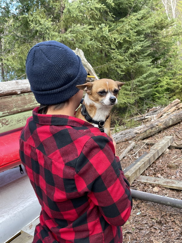 Sticks
