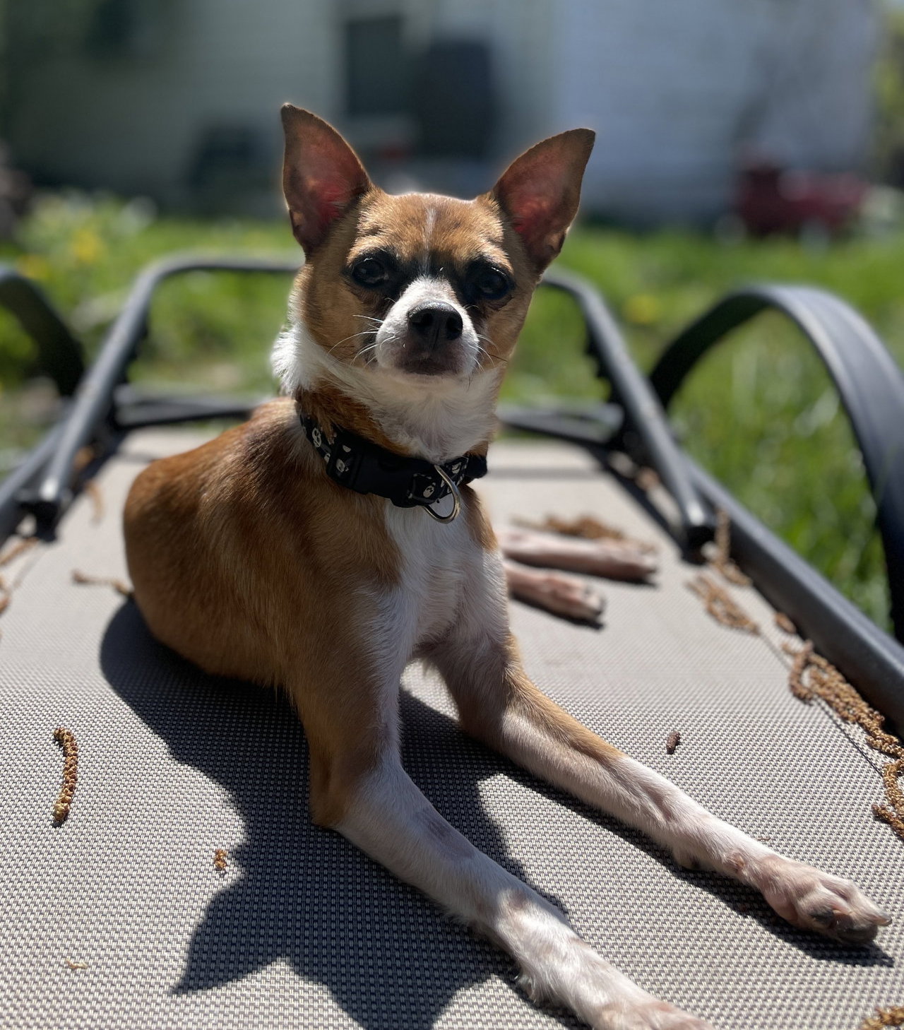 Sticks
