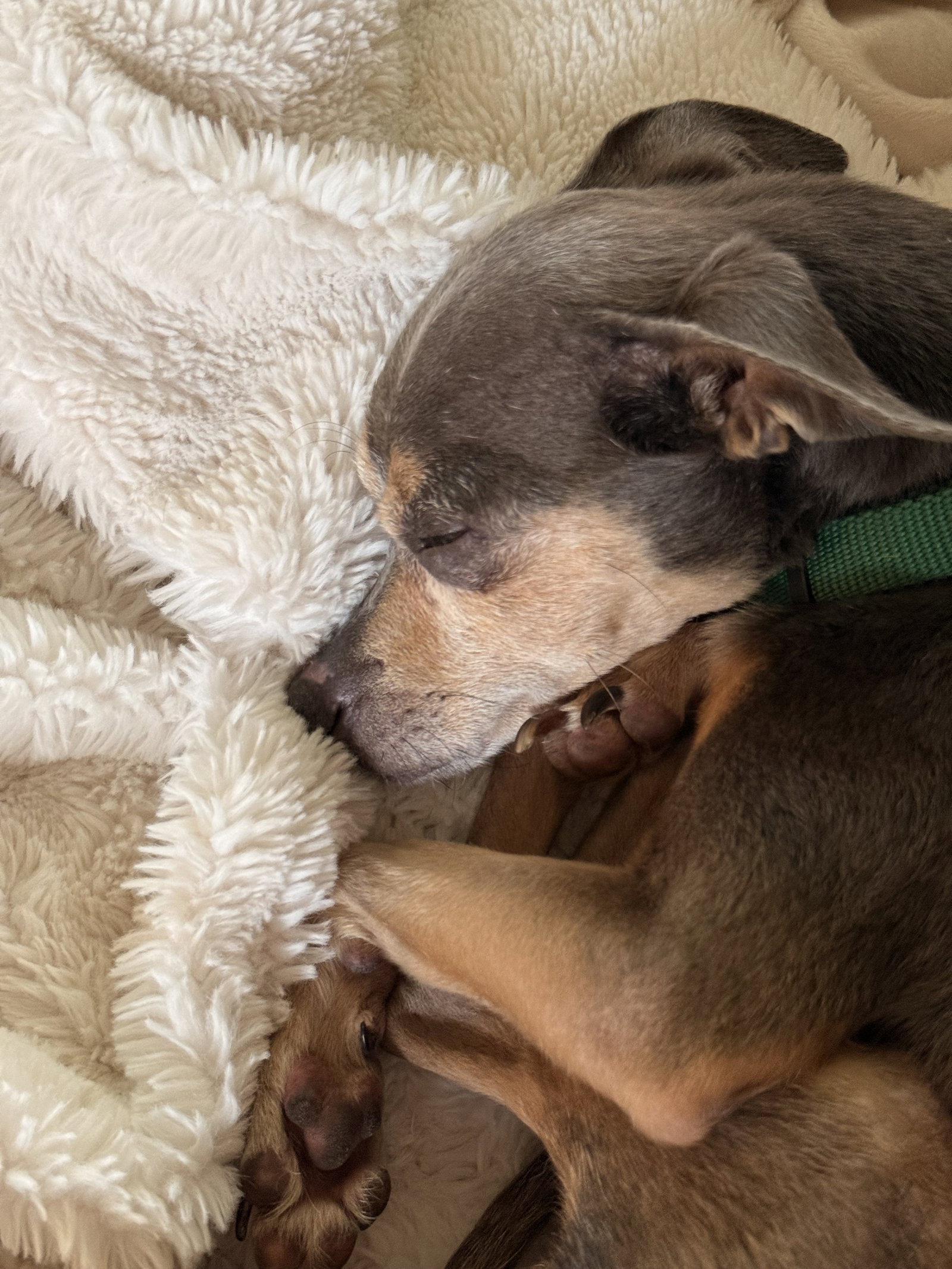 Gerald Frederick