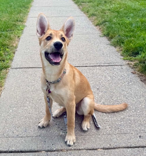Roo photo 1