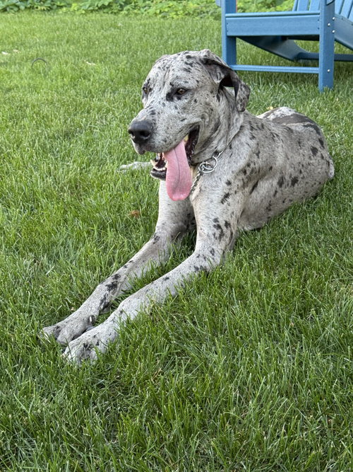 Zeus photo 3