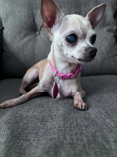 Marge, photo 2