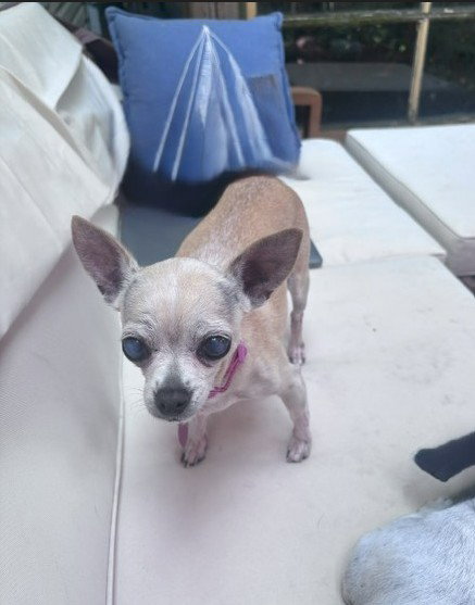 Marge, photo 3