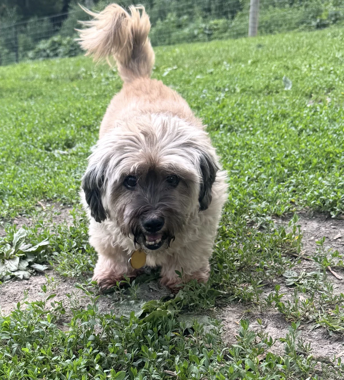 Coco