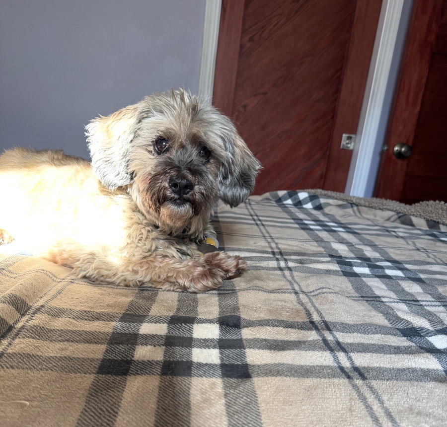 Coco