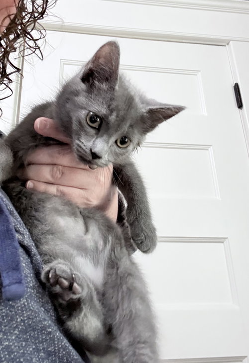 Grumpy photo 3